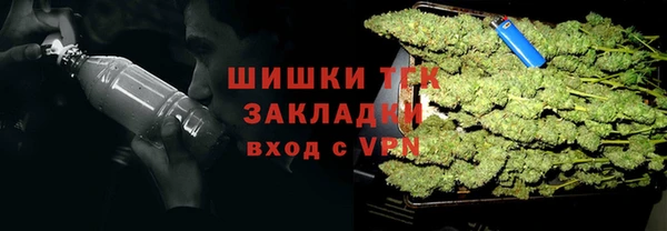 мет Новозыбков