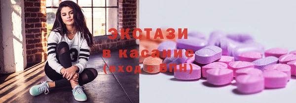 ECSTASY Богородицк