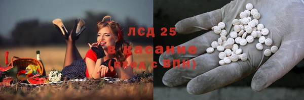 ПСИЛОЦИБИНОВЫЕ ГРИБЫ Новокубанск
