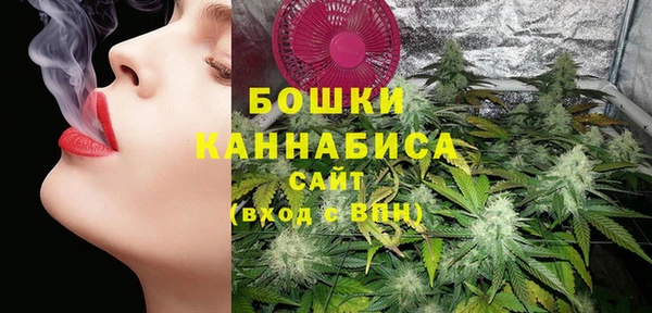 ECSTASY Богородицк