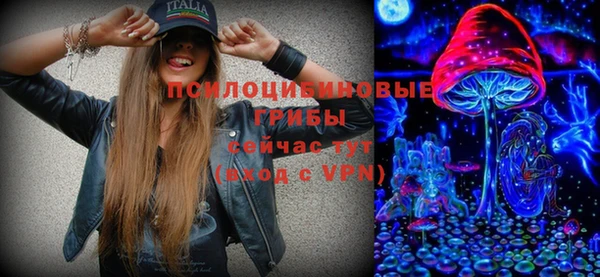 мет Новозыбков