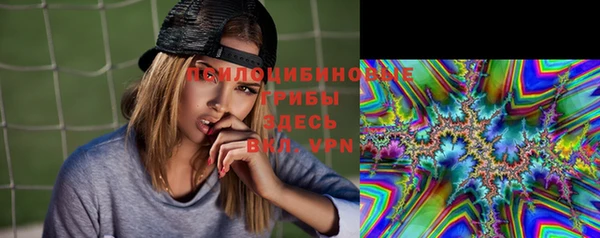 мет Новозыбков