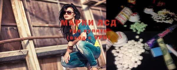 ПСИЛОЦИБИНОВЫЕ ГРИБЫ Белая Холуница